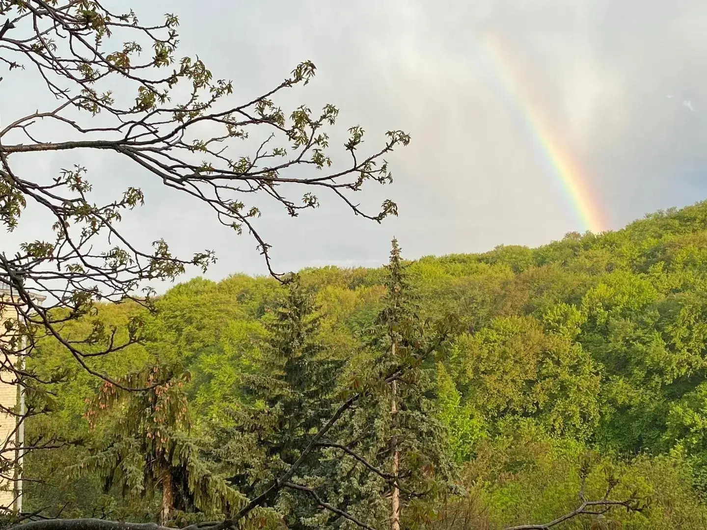 Апартаменты на улице Ленина 23