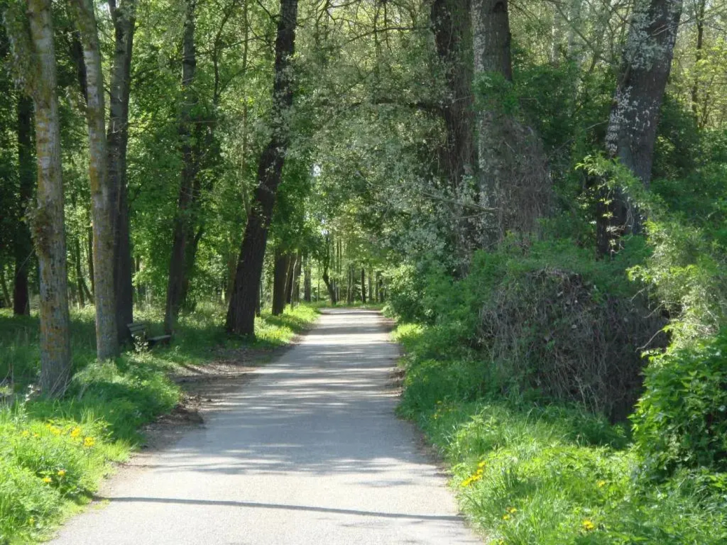 Landhaus Vogelweide - 2 Zimmer Mit Balkon