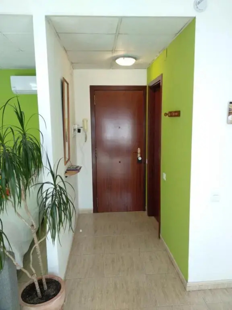 Estudio en el centro 0