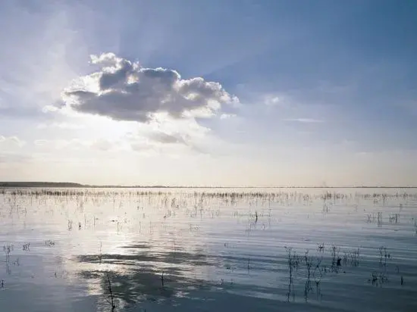 Écolodge Le Bruit de l’Eau