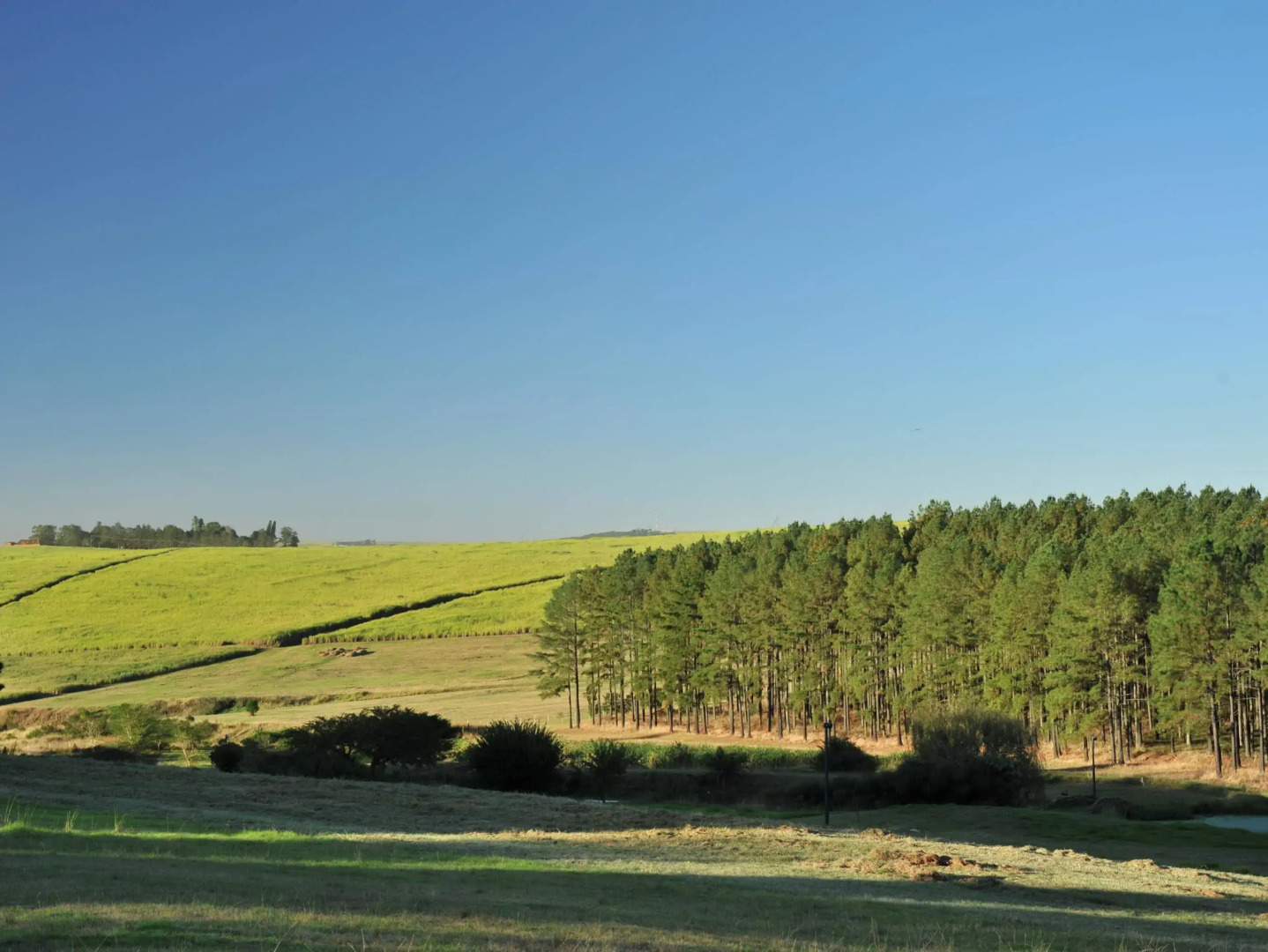 Wartburger Hof Hotel