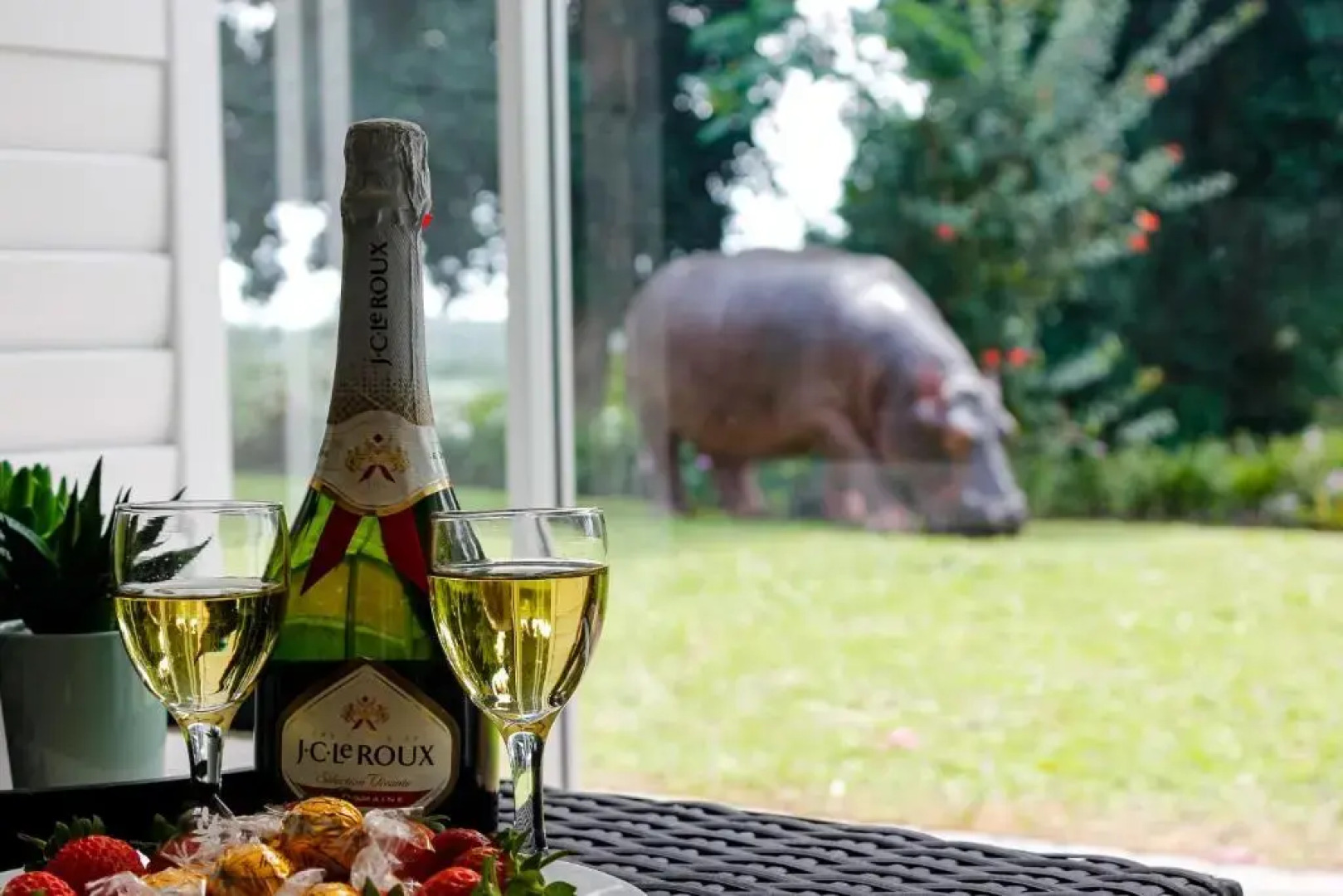 Vacation Letting Unit 3 The Bridge