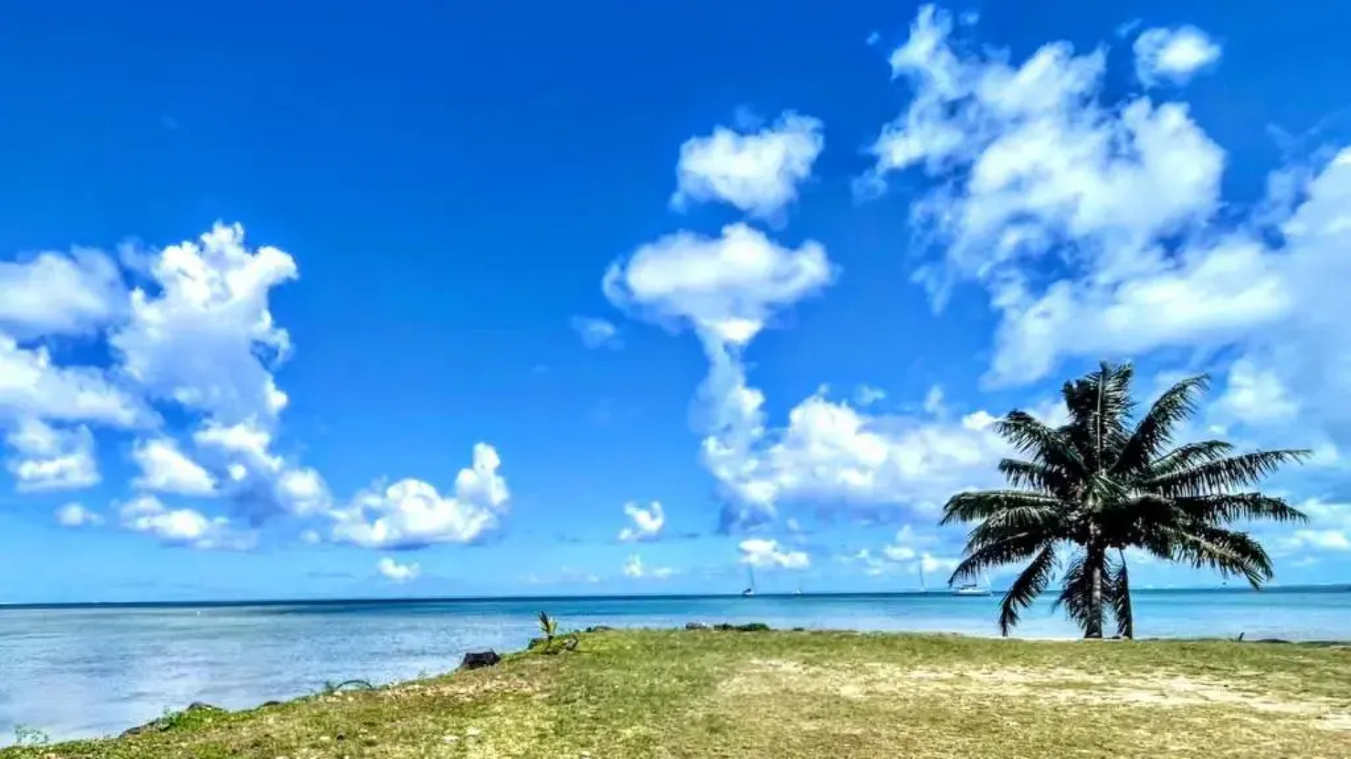 Raiatea - Nautilus Bungalow Pool