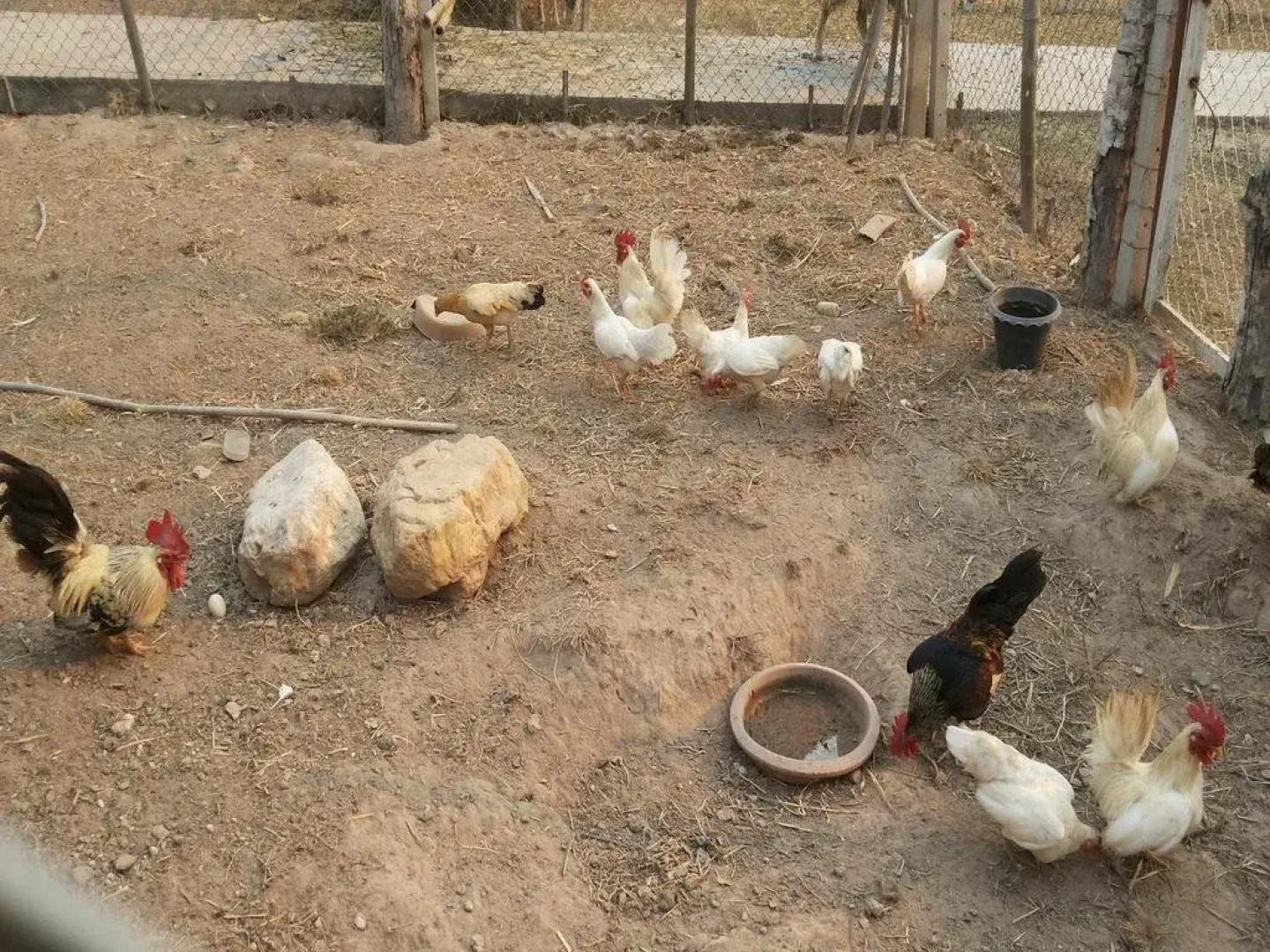 Khoom Kam Kaew Farm & Resort