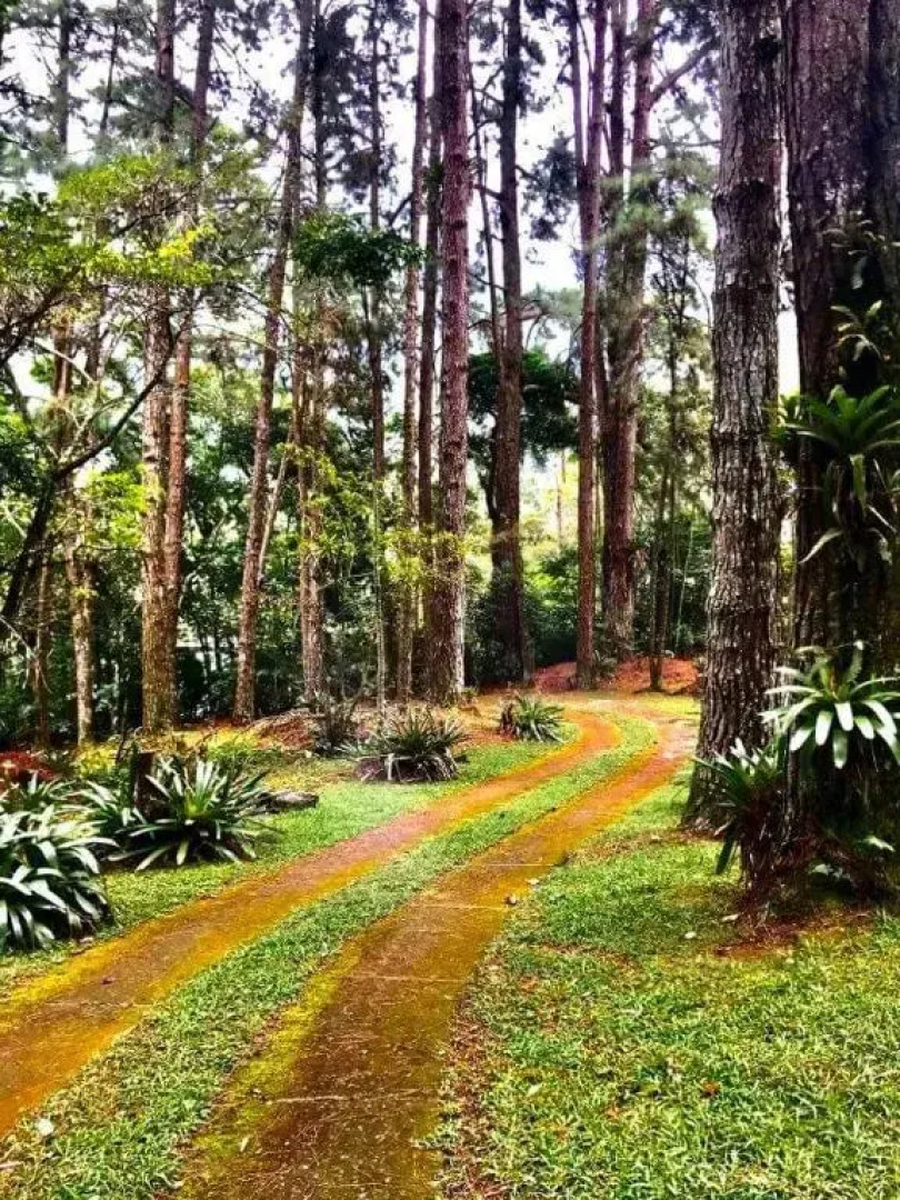 Estância das Nascentes - Sítio São Francisco