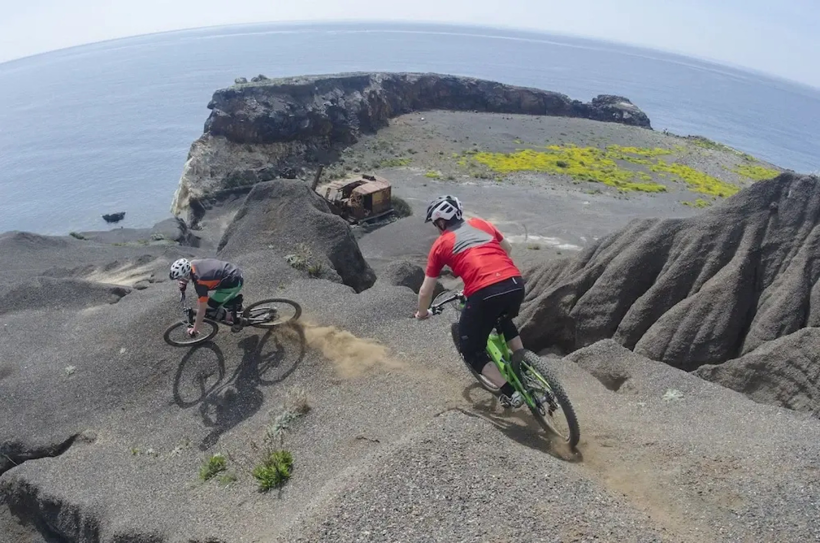 Tenuta Delle Ripalte