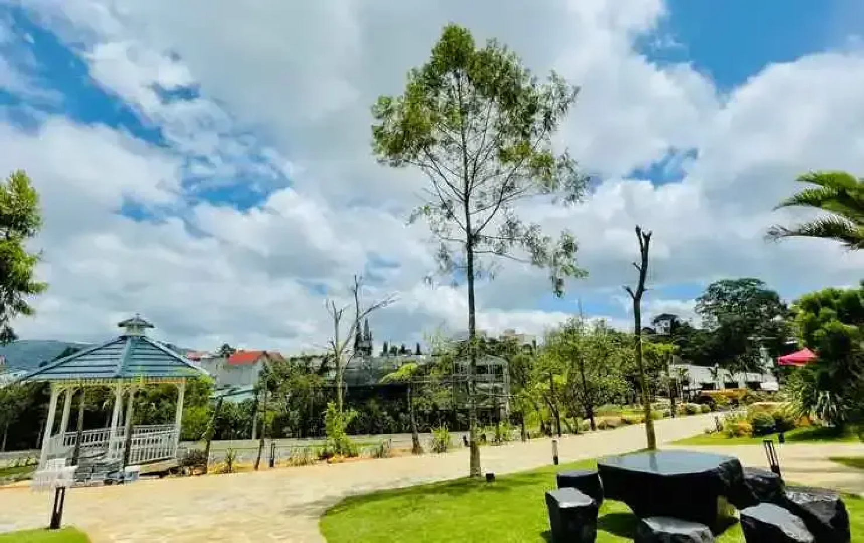 Sunflower Hotel & Resort