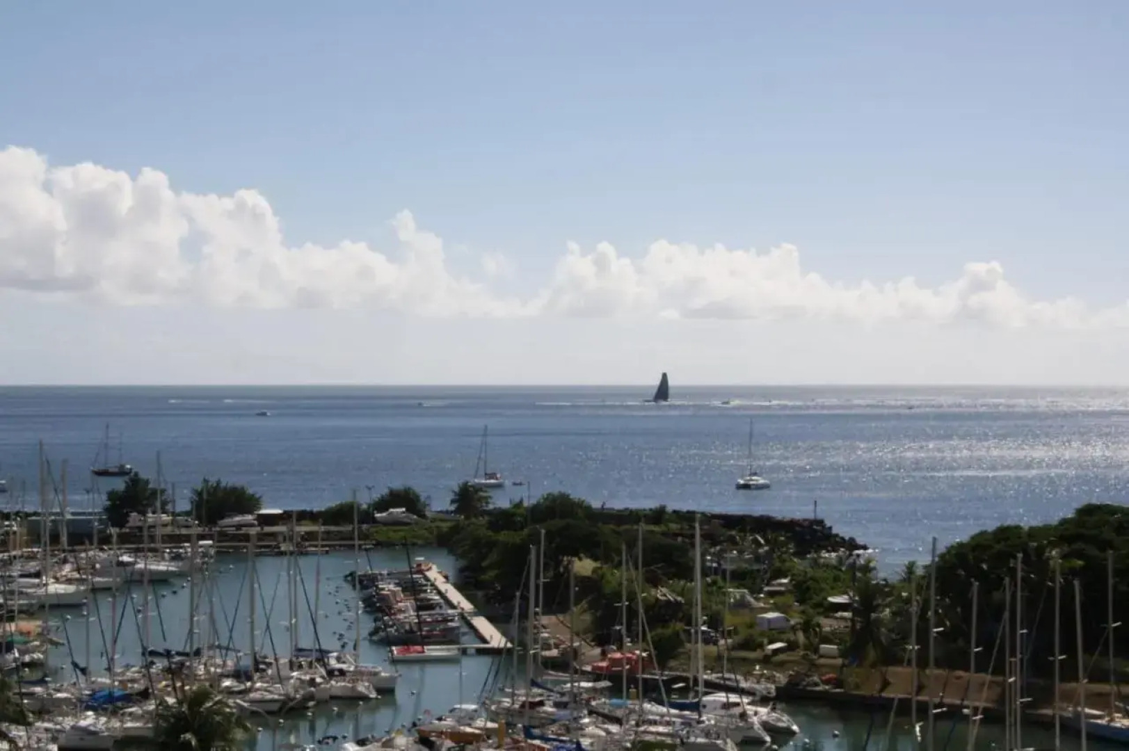 L'arbre Aux Papillons, Marina de Rivieres-Sens