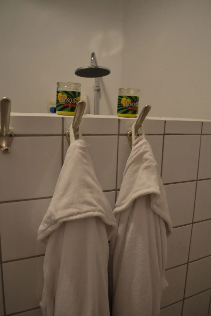 Palm Trees Apartments