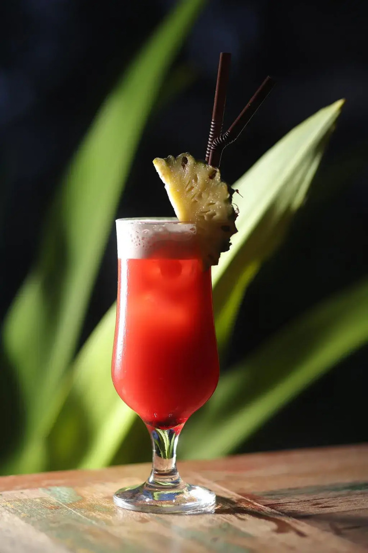 Dontrei Villa Angkor