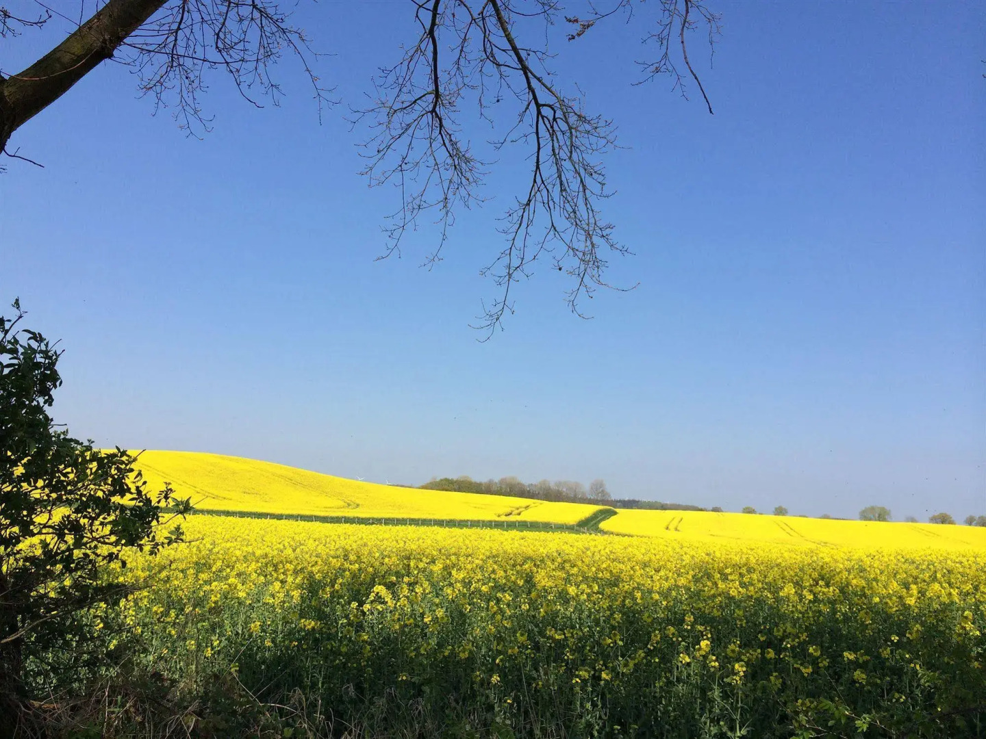 Romantik Seehotel Eichenhain