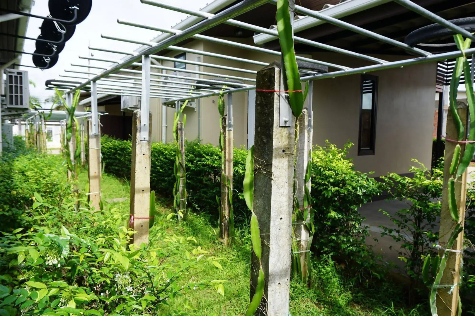 Phumipat Resort Thungsong