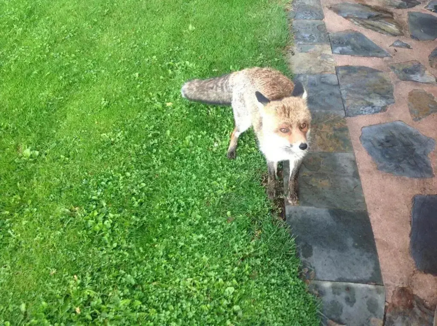 Hostal Rural La Calera