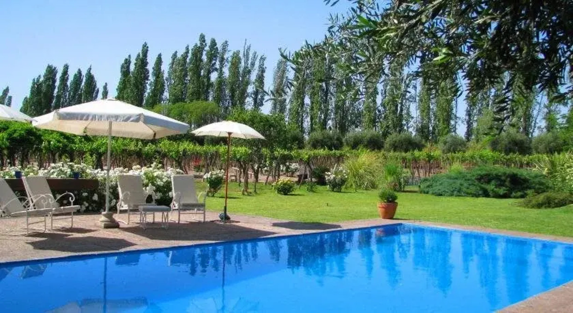 Conalbi Grinberg Casa Vinicola