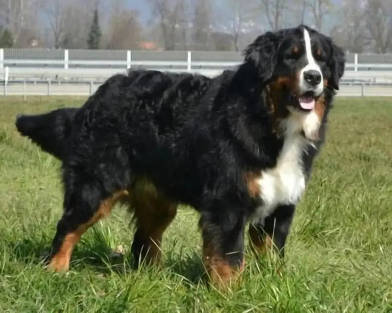 Hotel Chalet Bergblick