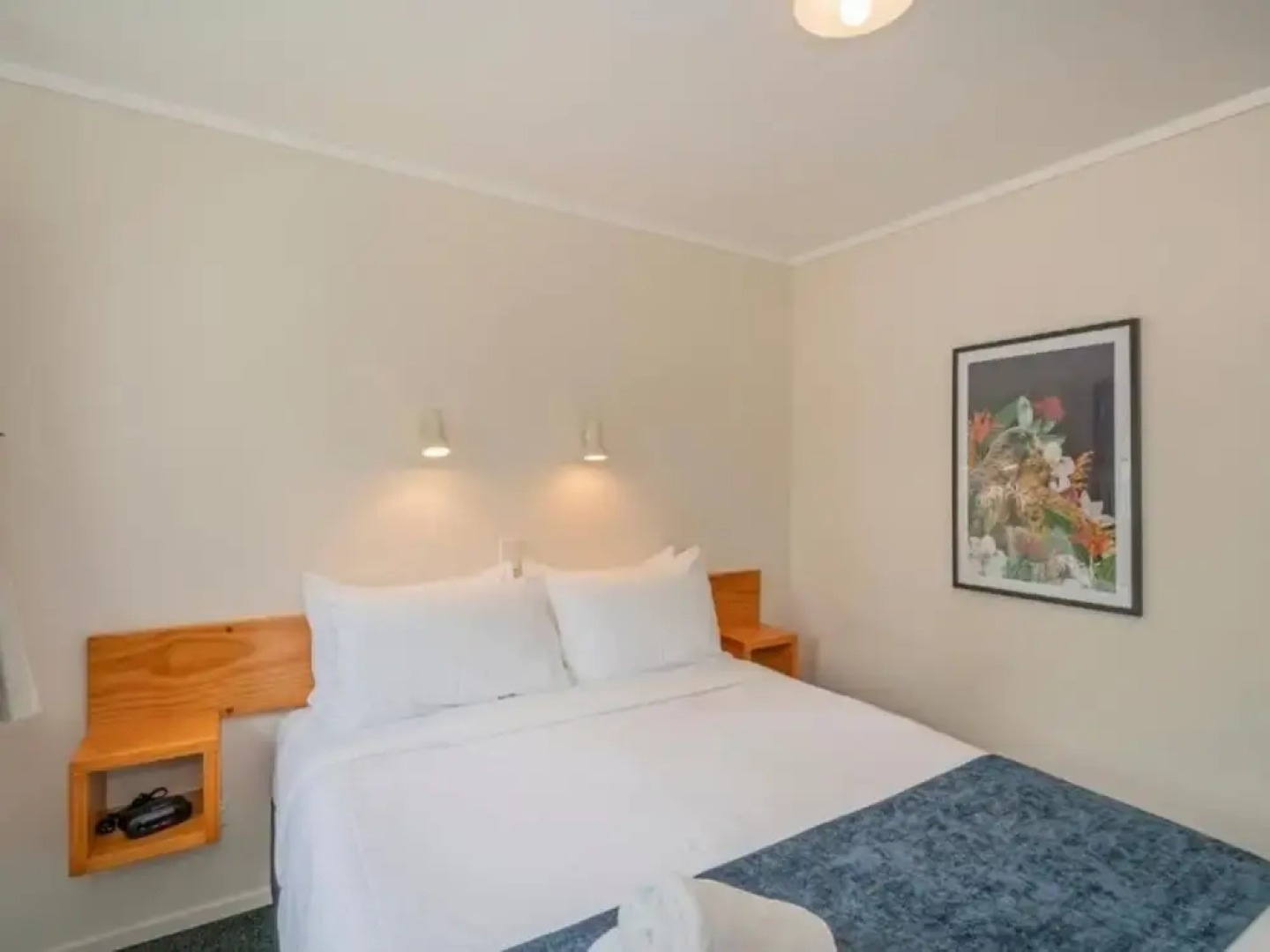 Coromandel Shelly Beach TOP 10 Holiday Park