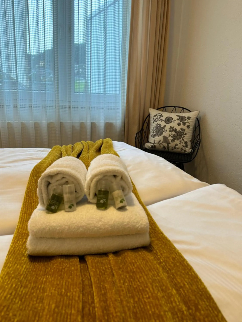 Appartements Rheinblick