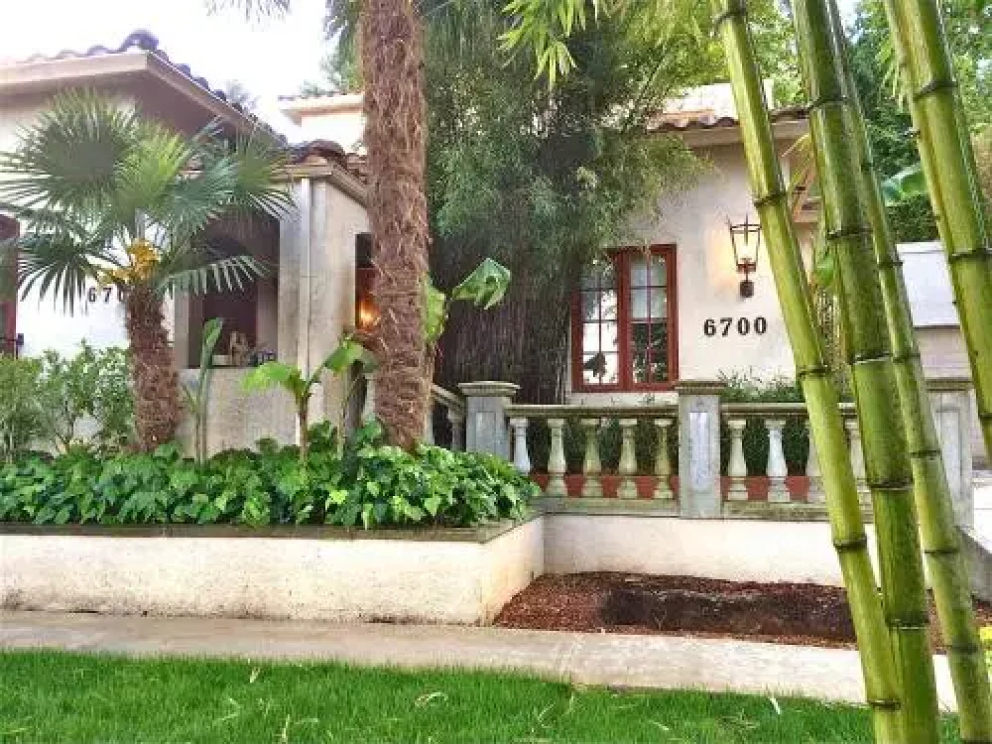 The Tropical Guesthouse