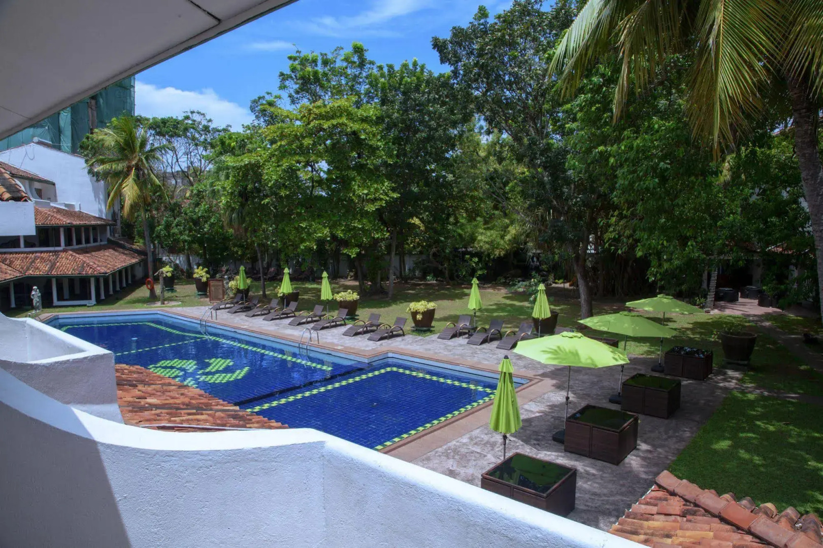 Palms, Mount Lavinia