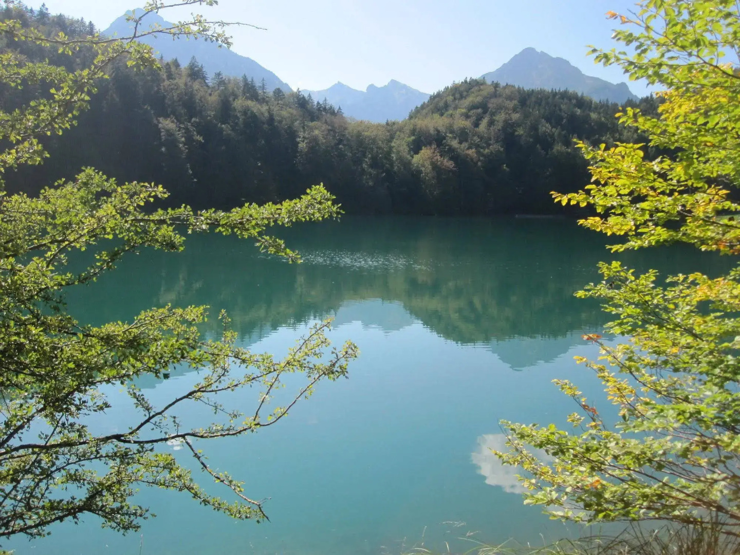 Vital Hotel Wiedemann