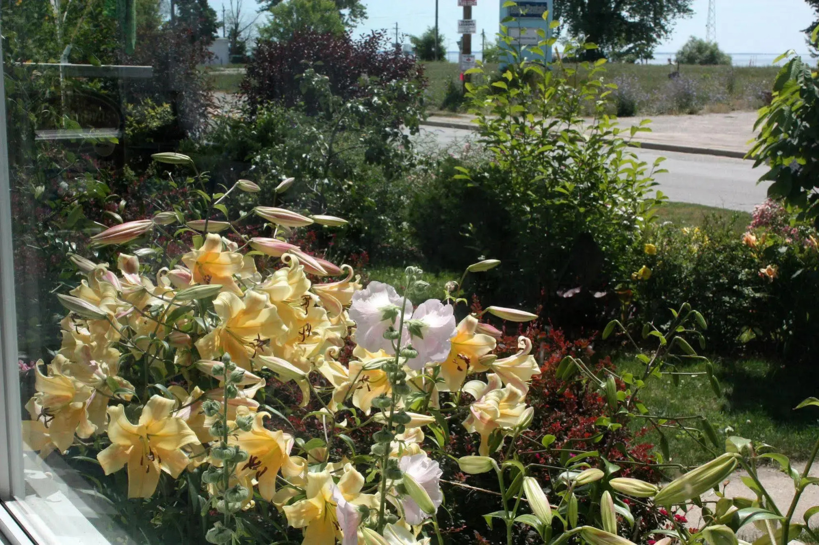 Mettawas End Bed & Breakfast