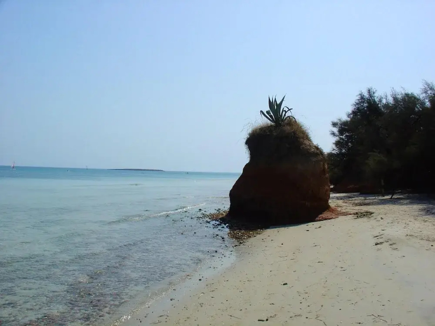 Apartment With 2 Bedrooms in Torre Guaceto, With Enclosed Garden