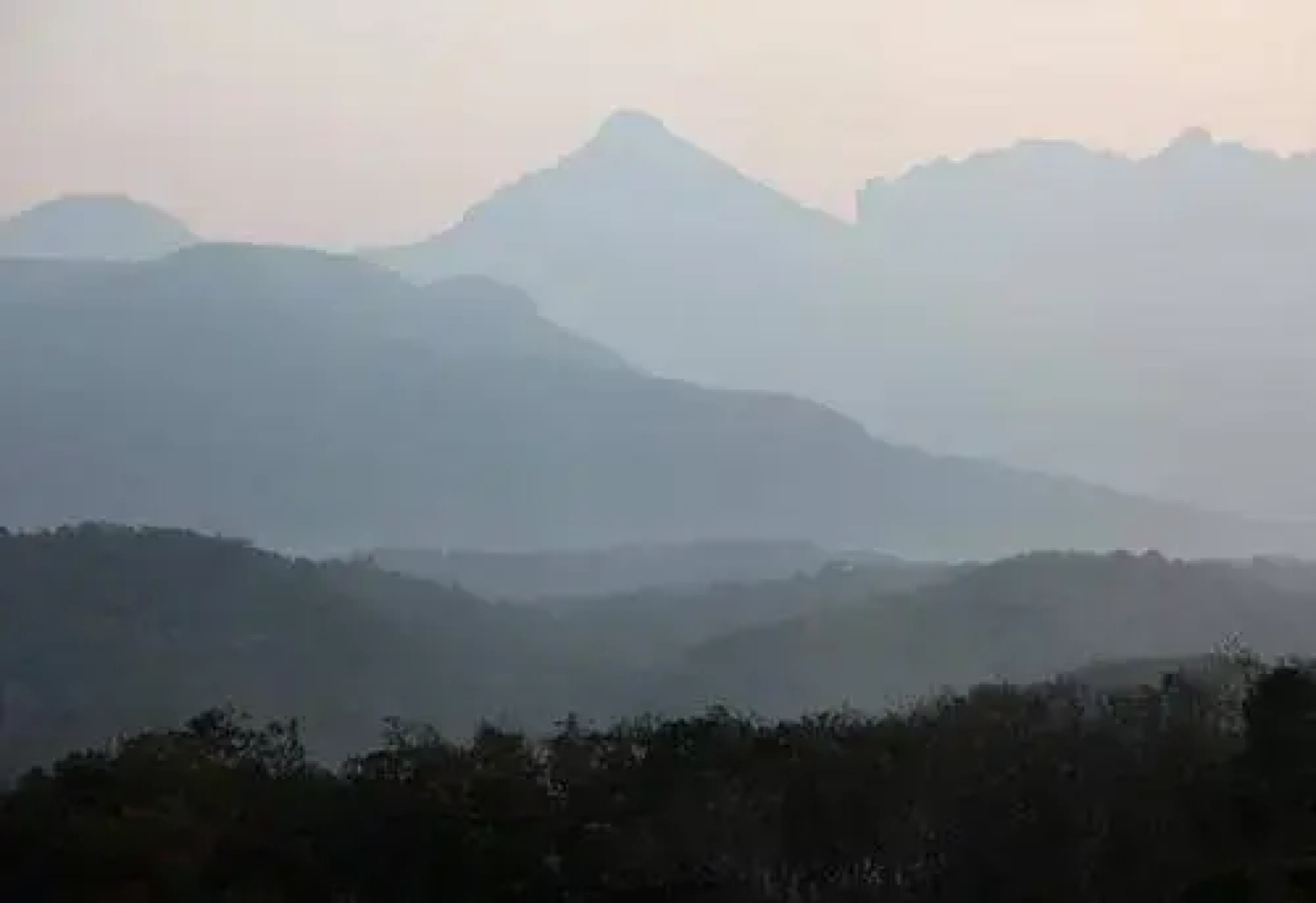 Bio Veda Ayurvedic Hill resort