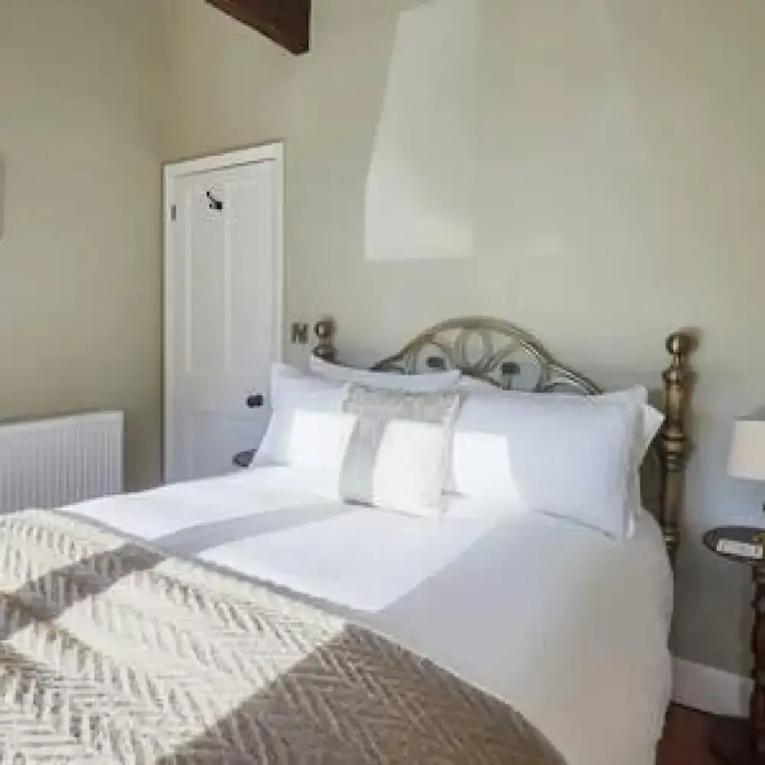 Host Stay Snoozy Goose