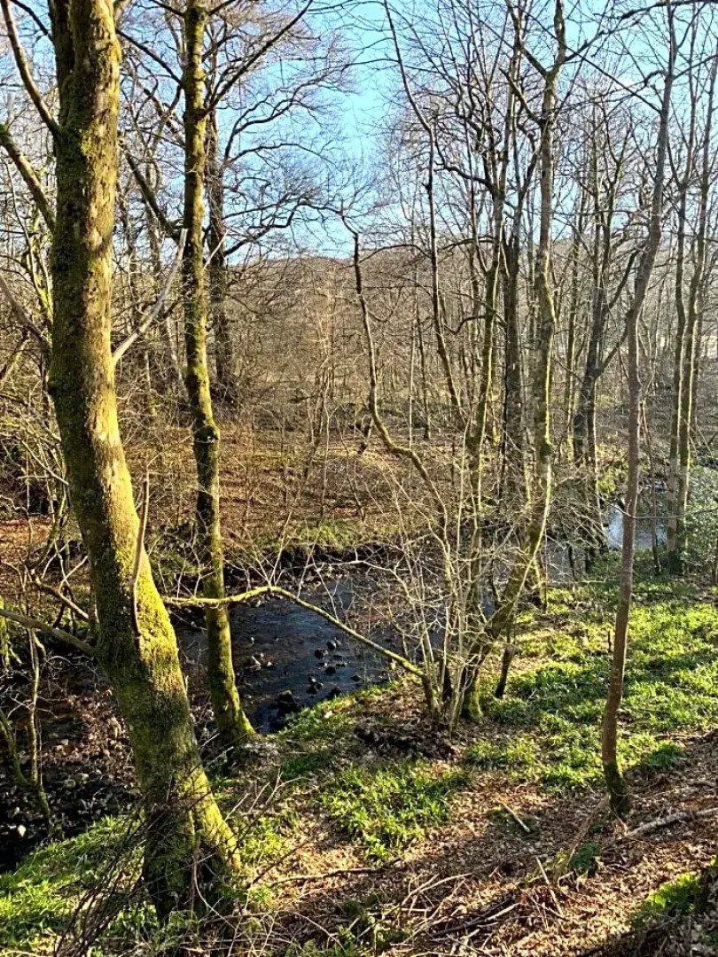 The Highland Hideaway Pod