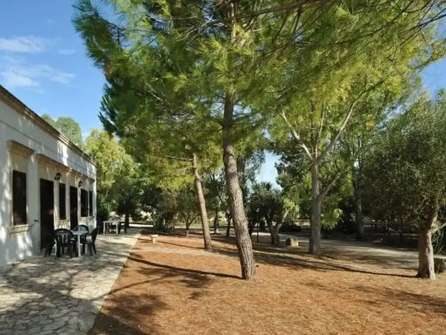 Farm Near the Beautiful Ionian Sea, in the Beautiful Salento