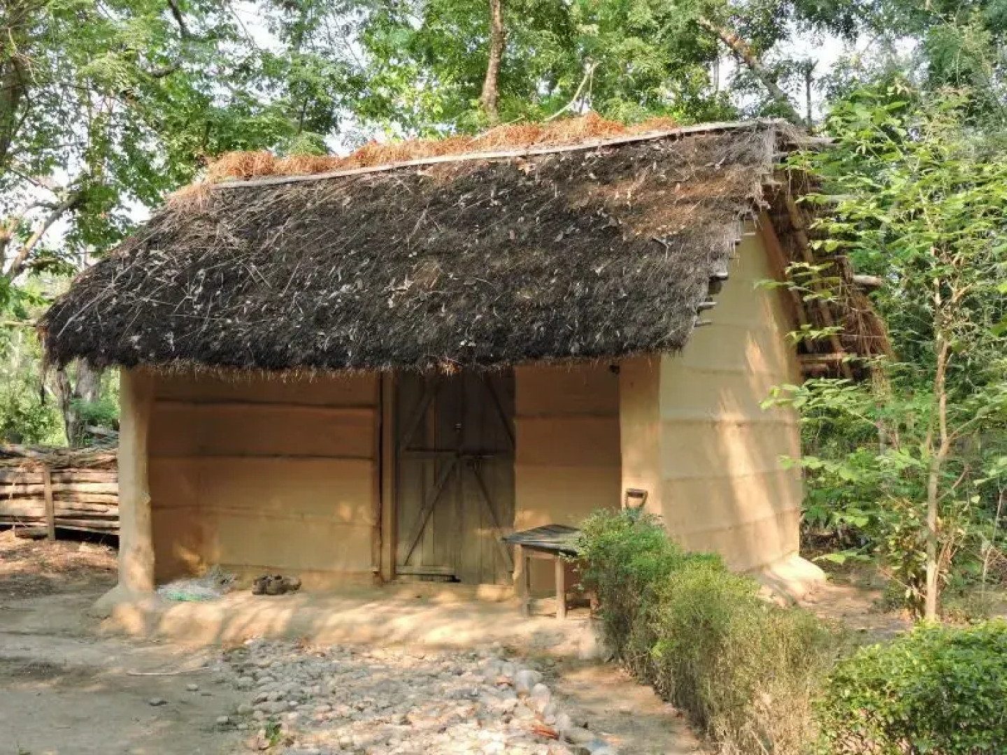 Jungle Heaven Hotel and Cottage