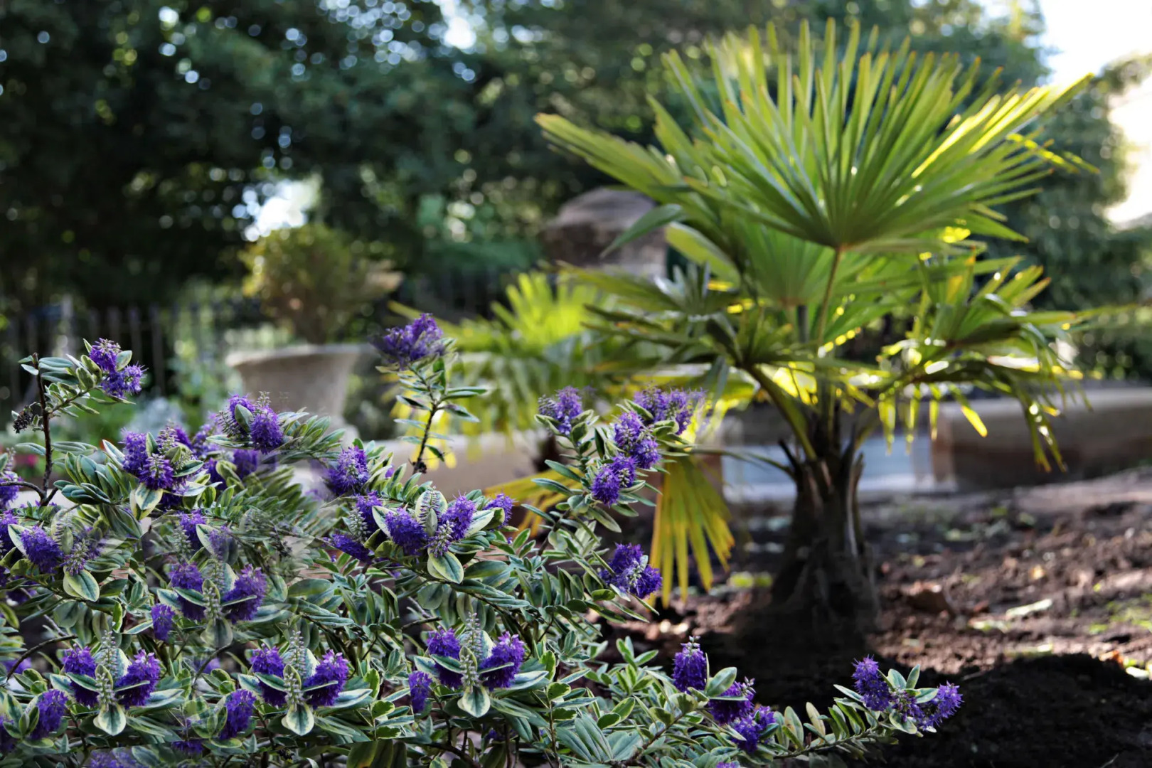 Victoria Square Hotel