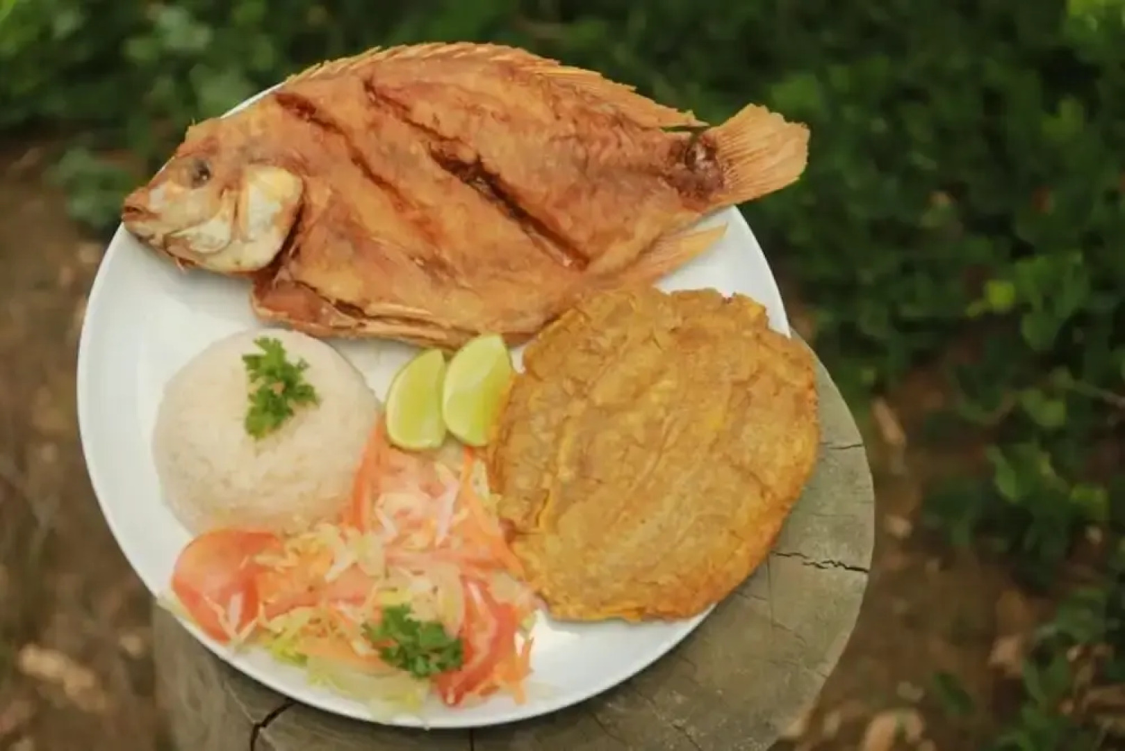 Ecohotel Campo Alegre