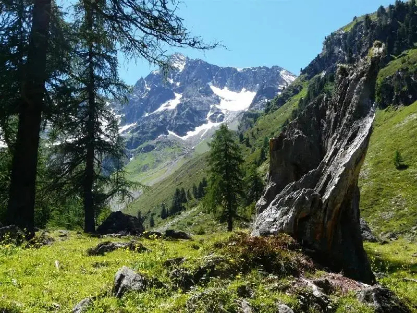 Andrea Schöpf Gästehaus