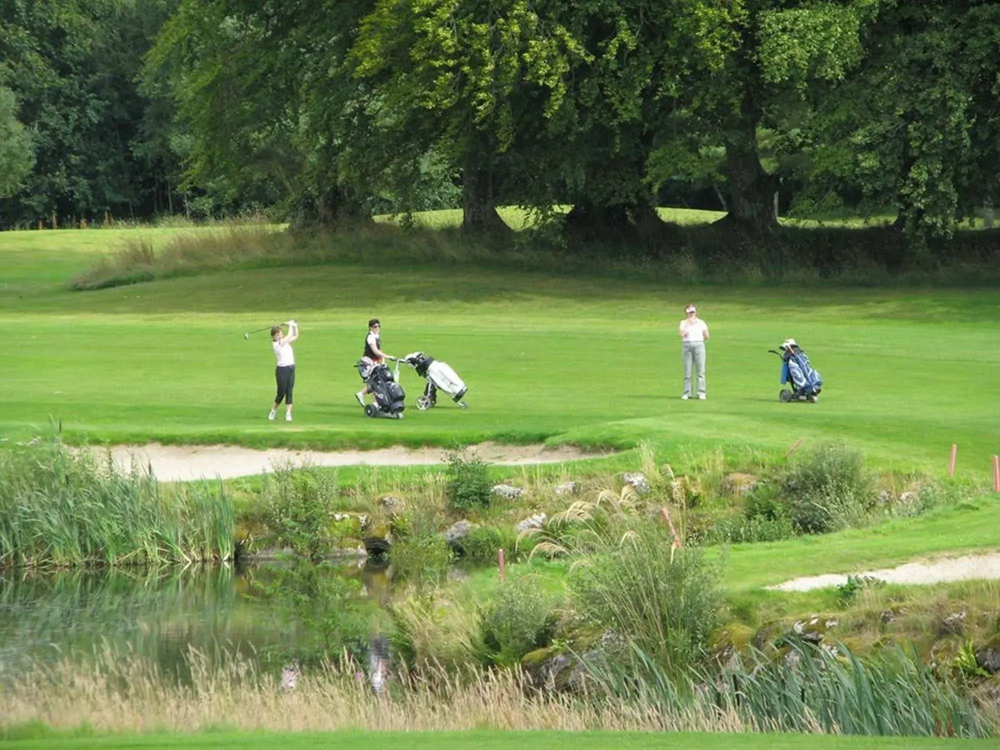 Tulfarris Hotel & Golf Resort