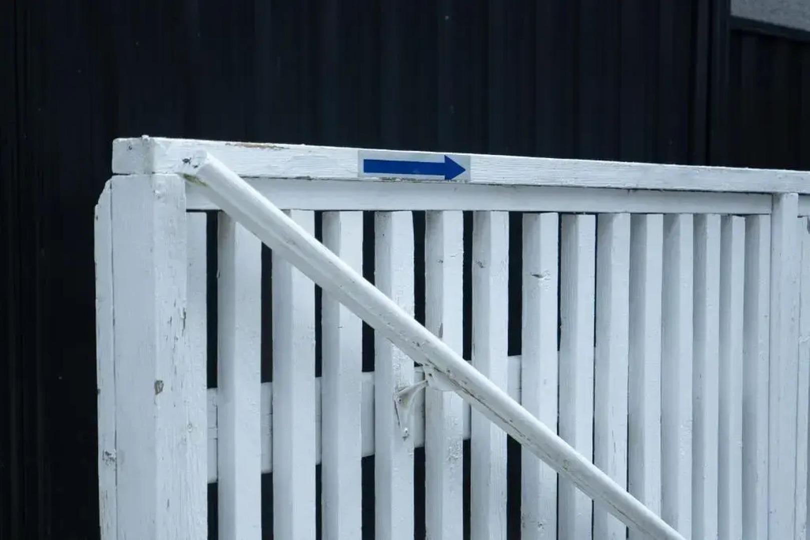 Adorable 1-bedroom suit with independent entrance