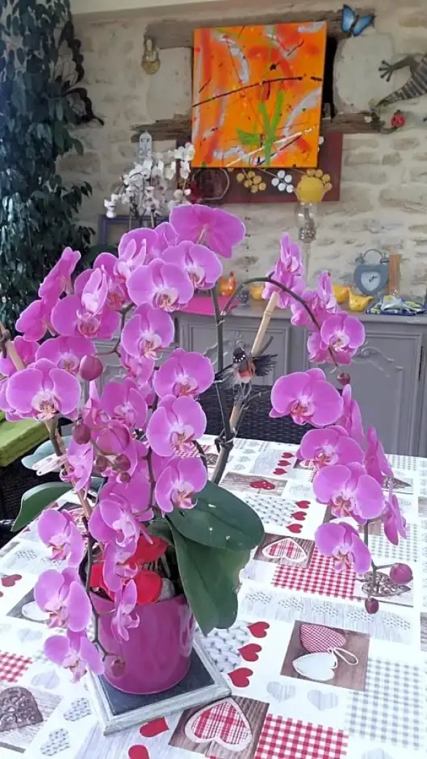 LES ORCHIDEES Ch H¿tes B&B 14 personnes Jaunay-Clan