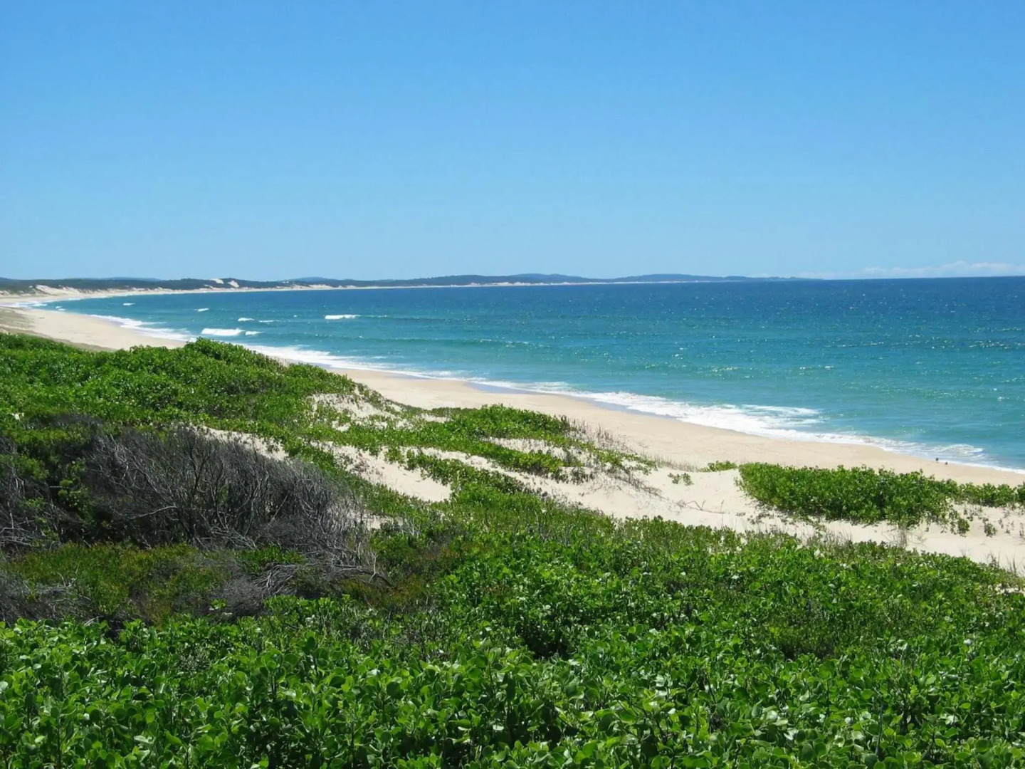 Pet Friendly on Pelican - Close to Myall River