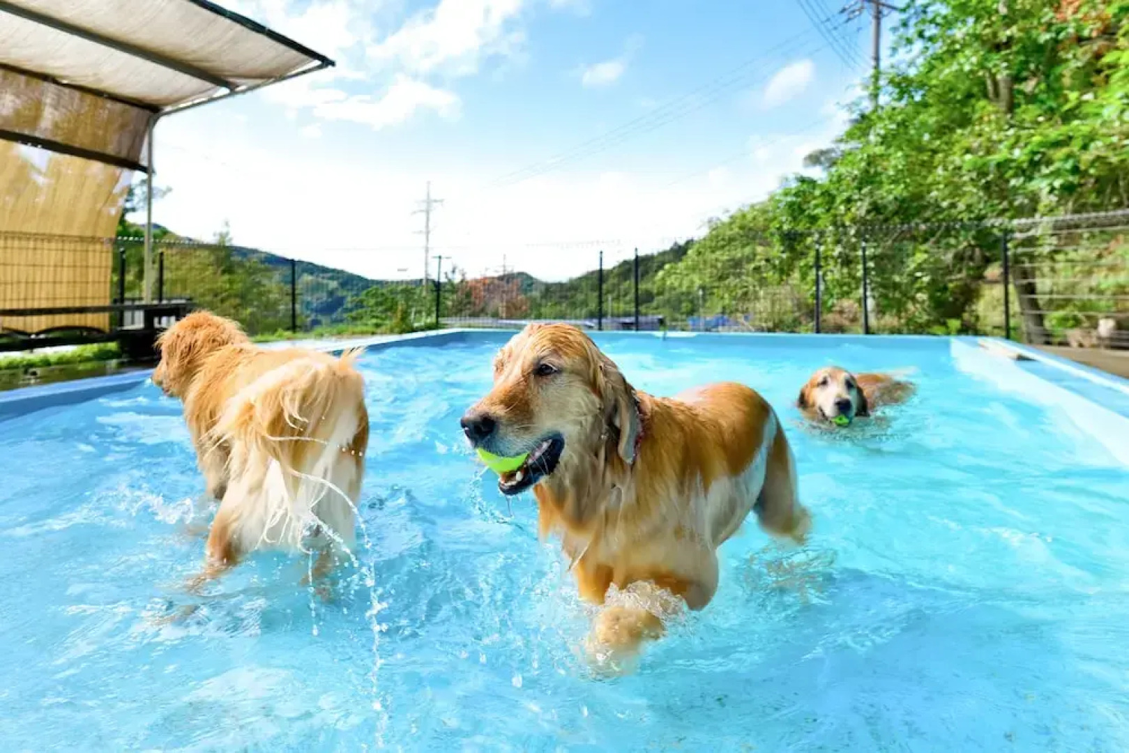 Partners House Yuasa