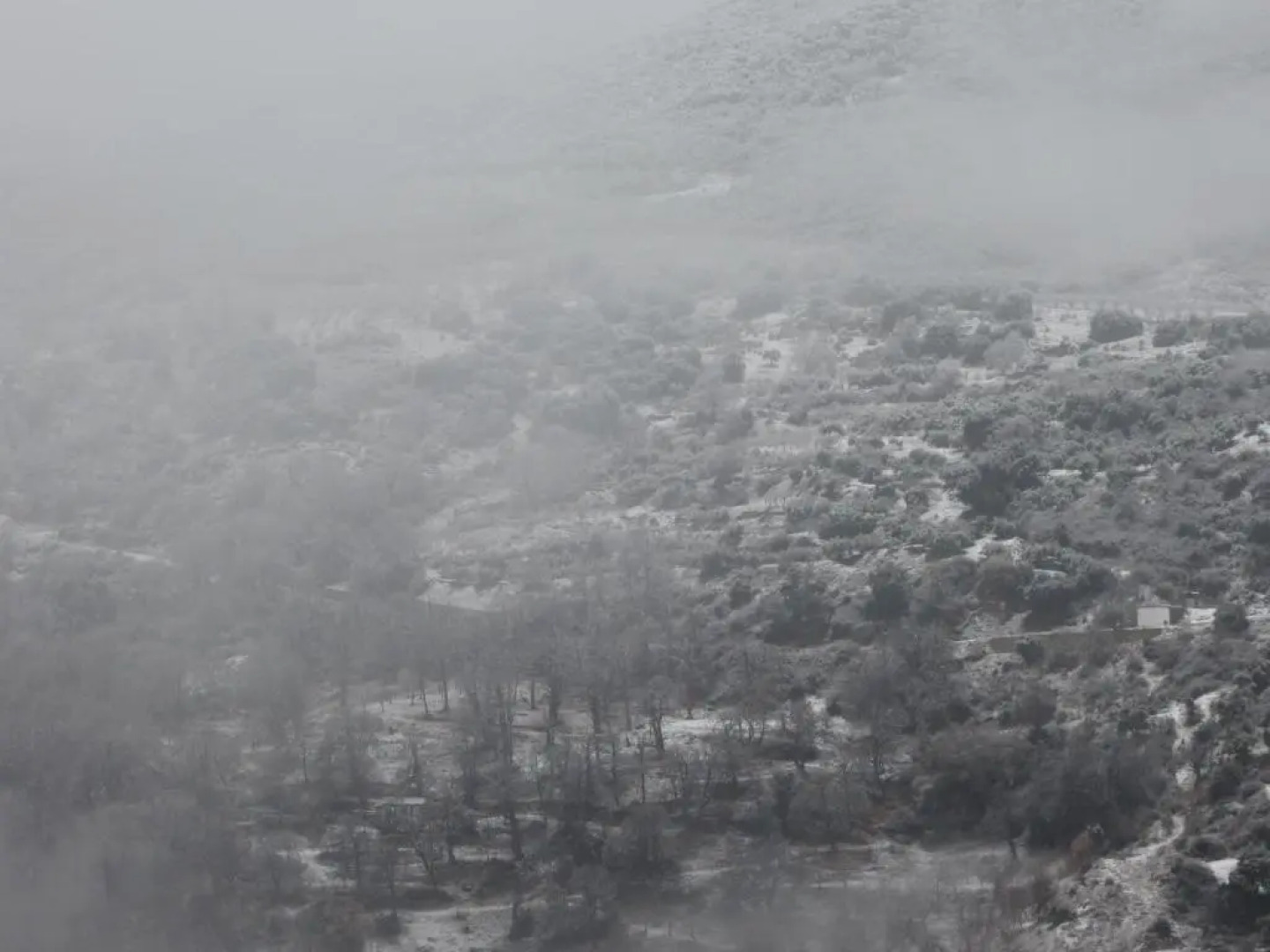 Apartamentos Haza La Moraleda