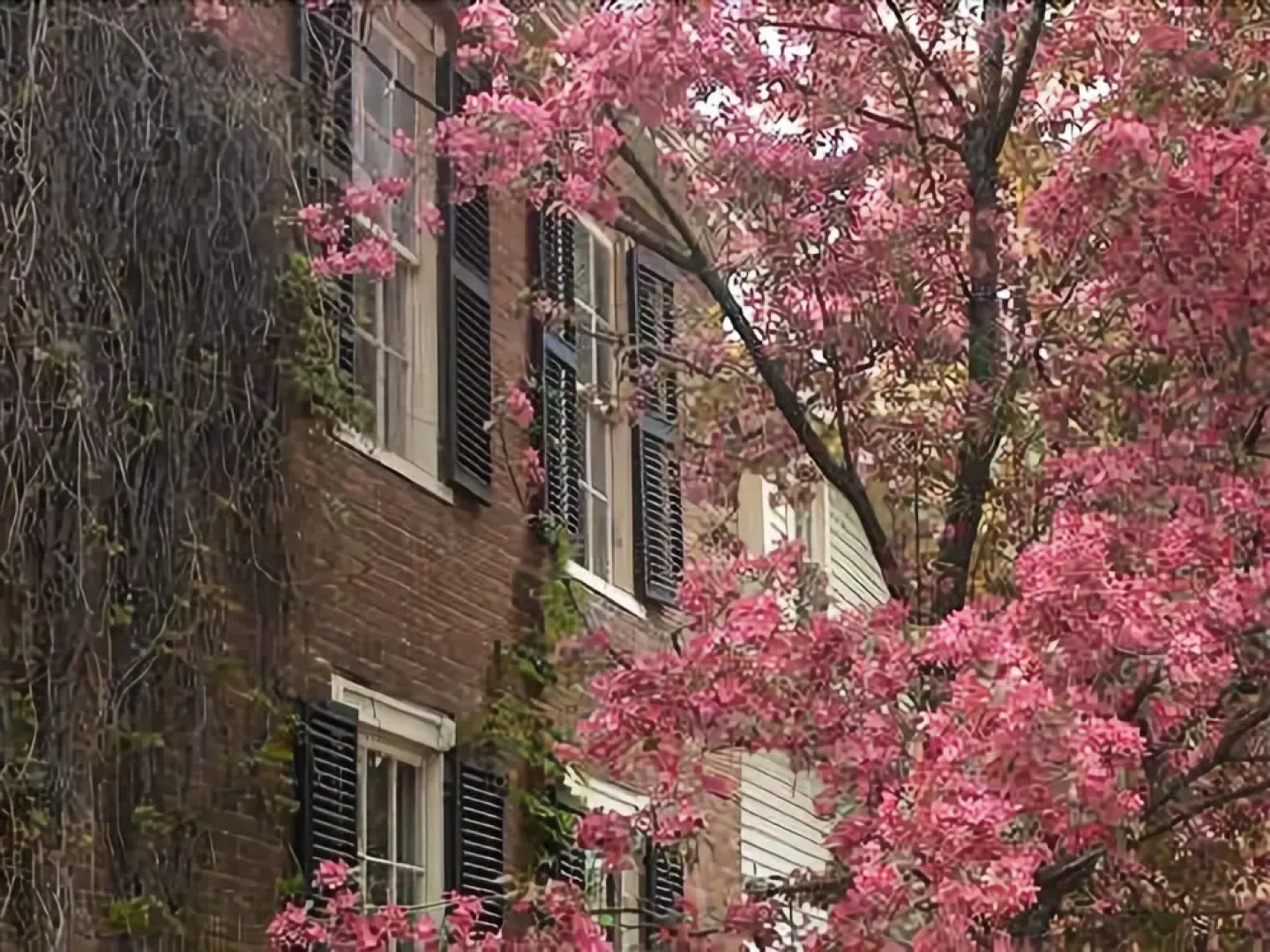 The Charleston House Bed & Breakfast