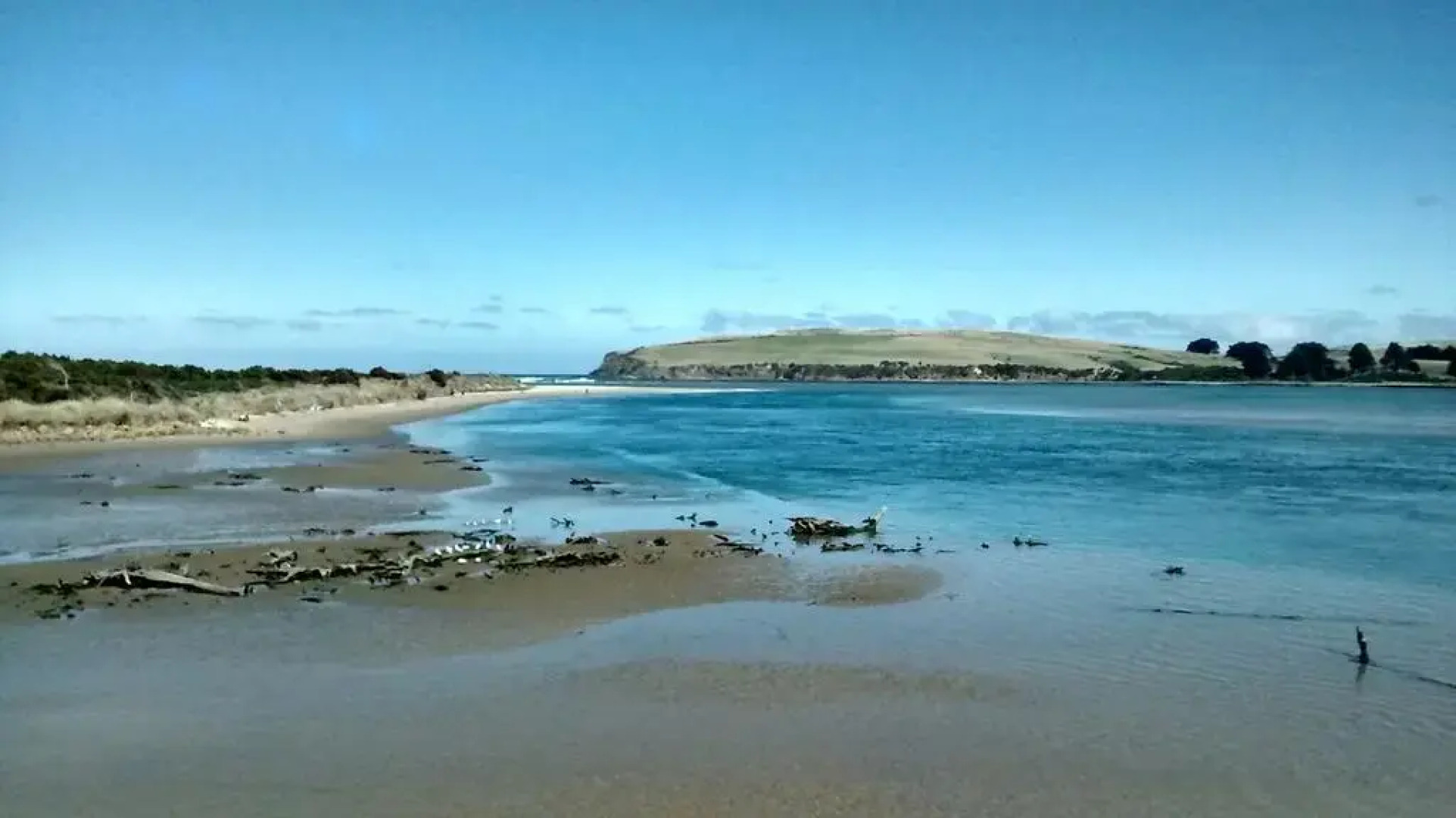 Surat Bay Lodge, Motel and Backpackers