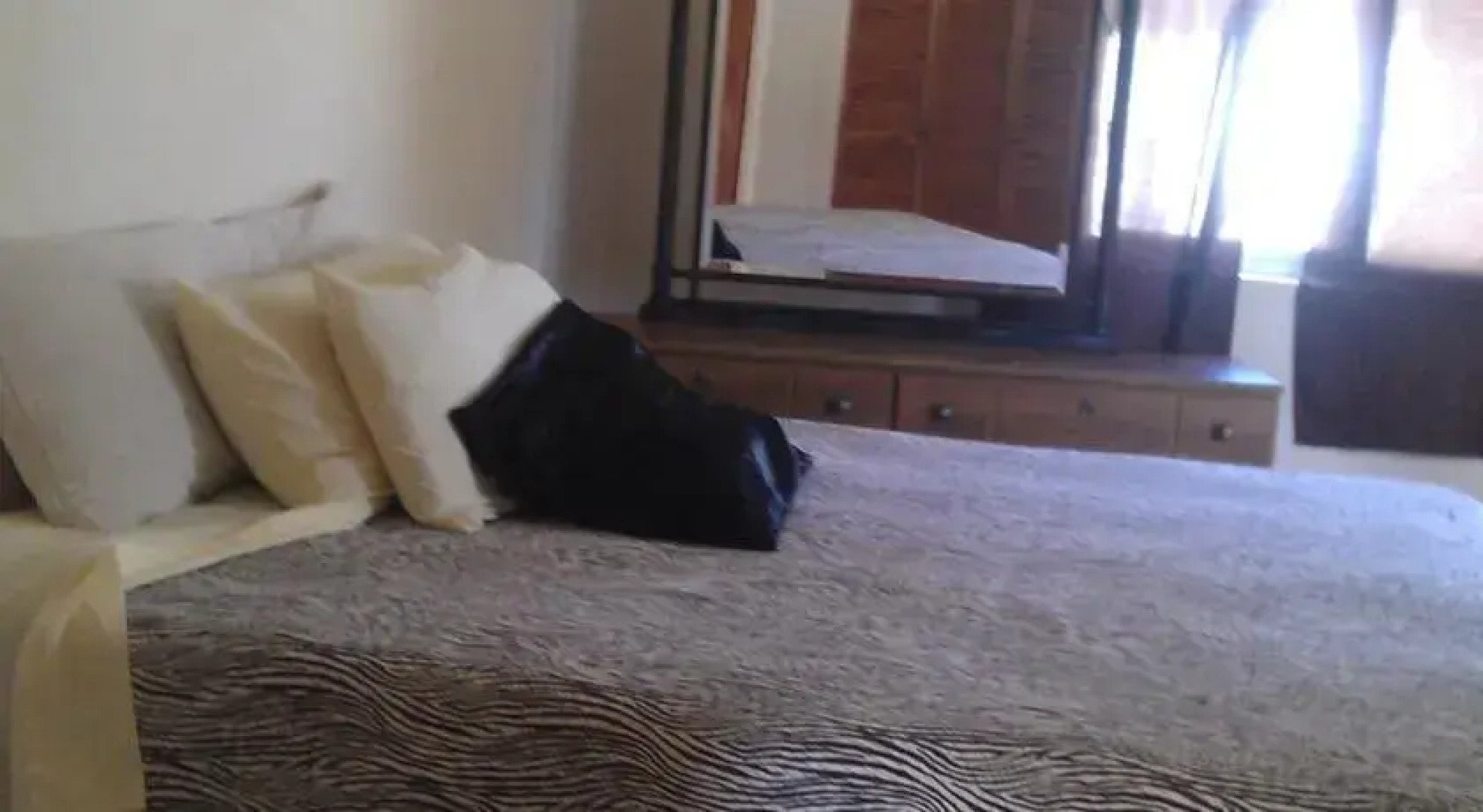 Chester View Apartment