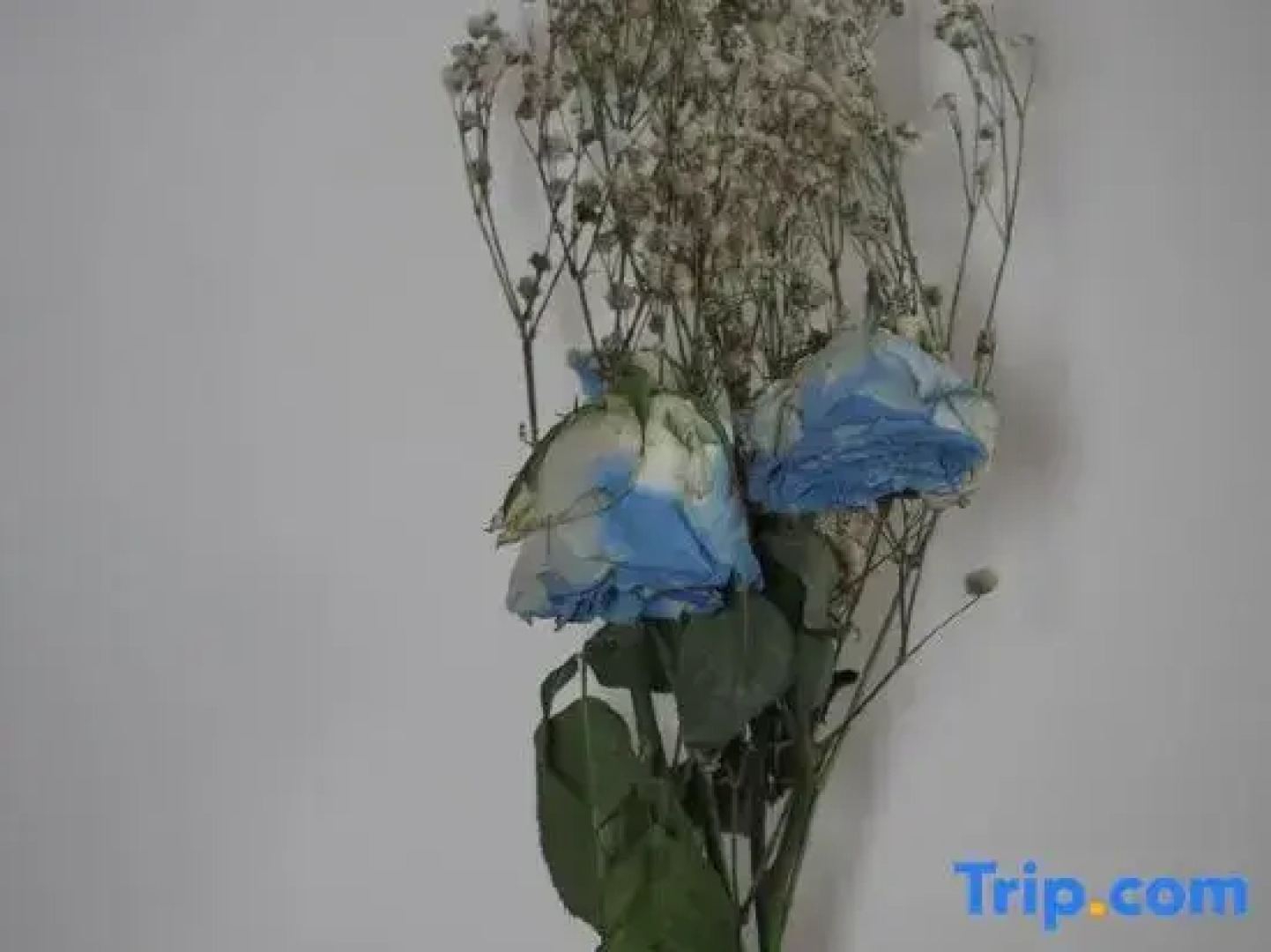 Zhen'an Wanyuan Hotel