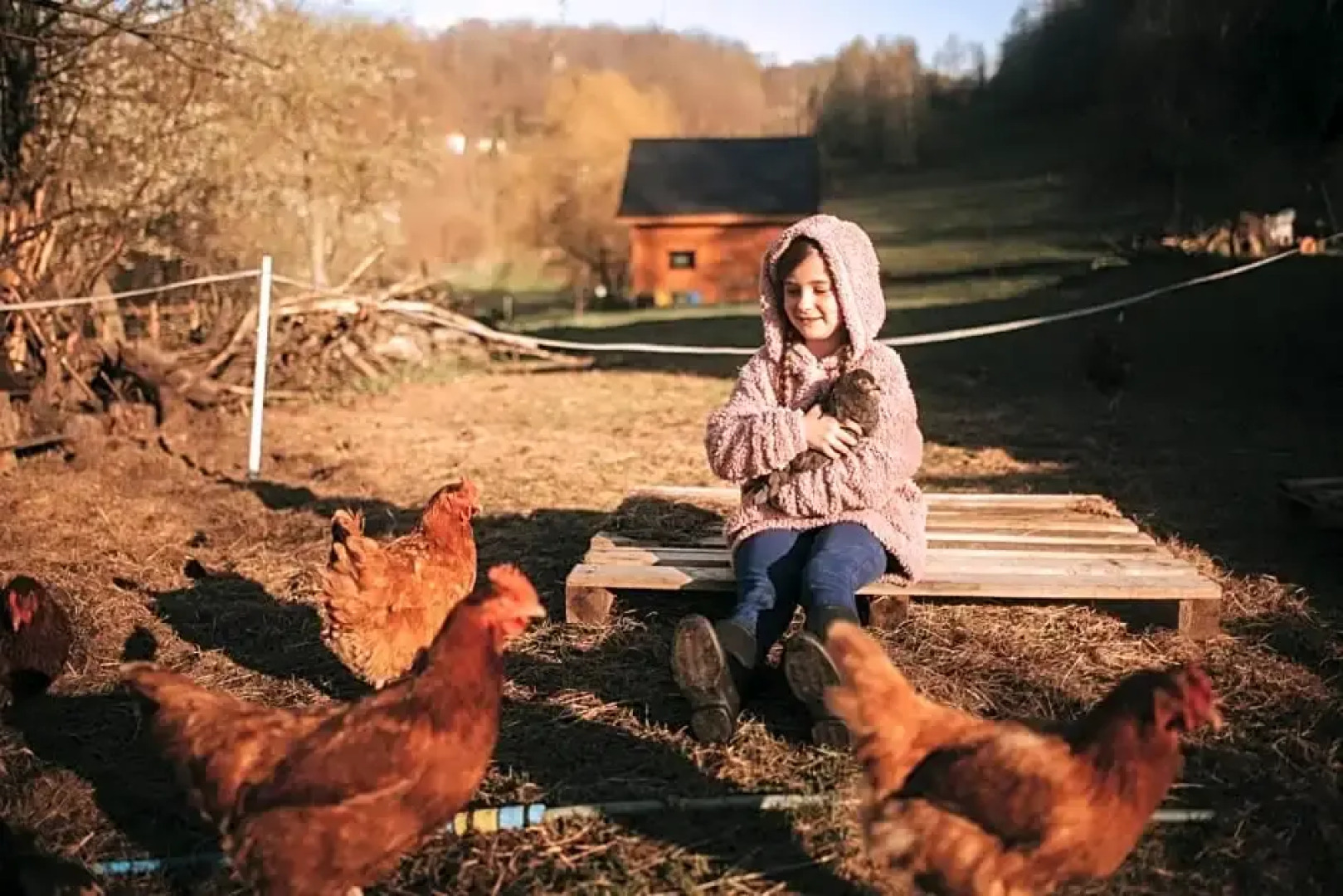 Osada Krasne Noclegi blisko natury