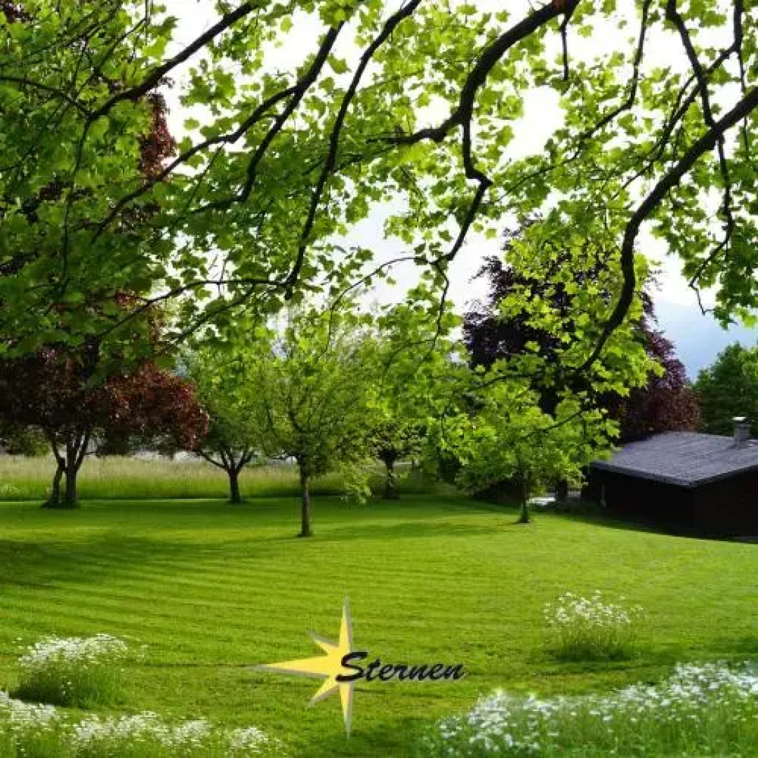 Hotel-Pension Sternen