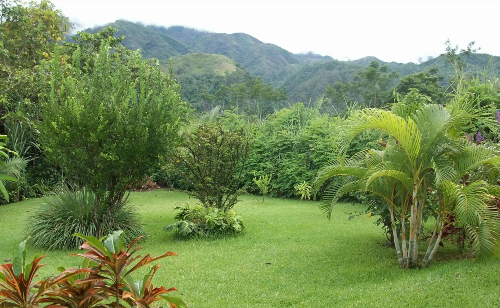 Chanchamayo Cloud Forest San Carlos