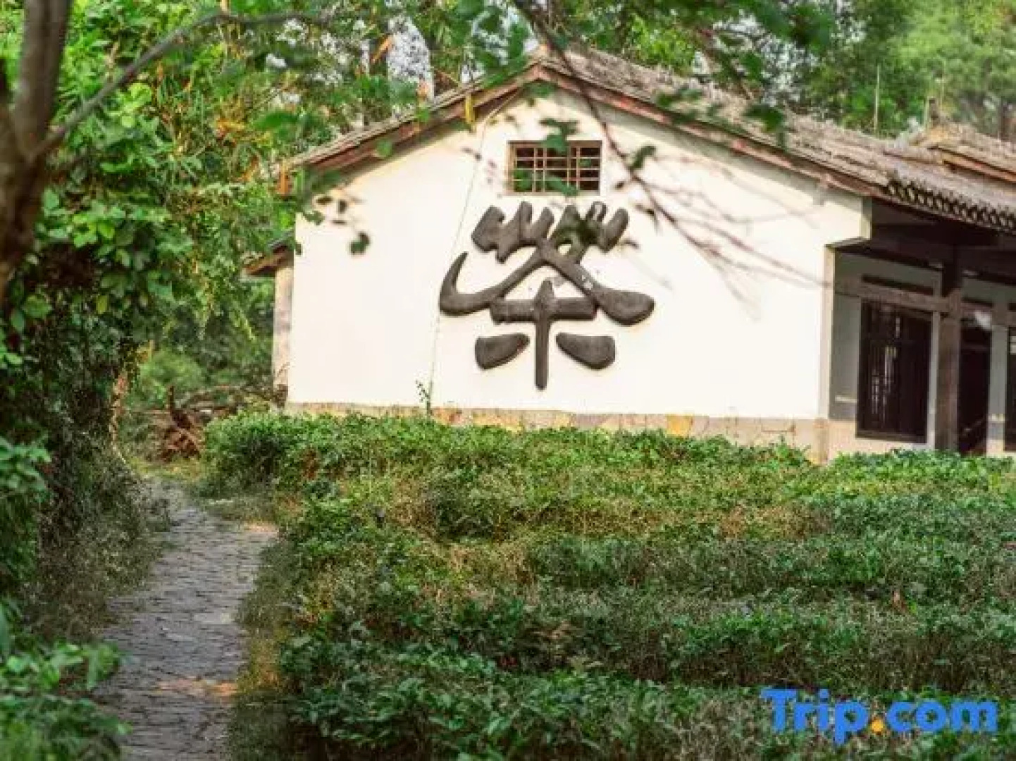 Pu'er Tea Garden Resort Hotel(Pu'er Tea Expo Garden)
