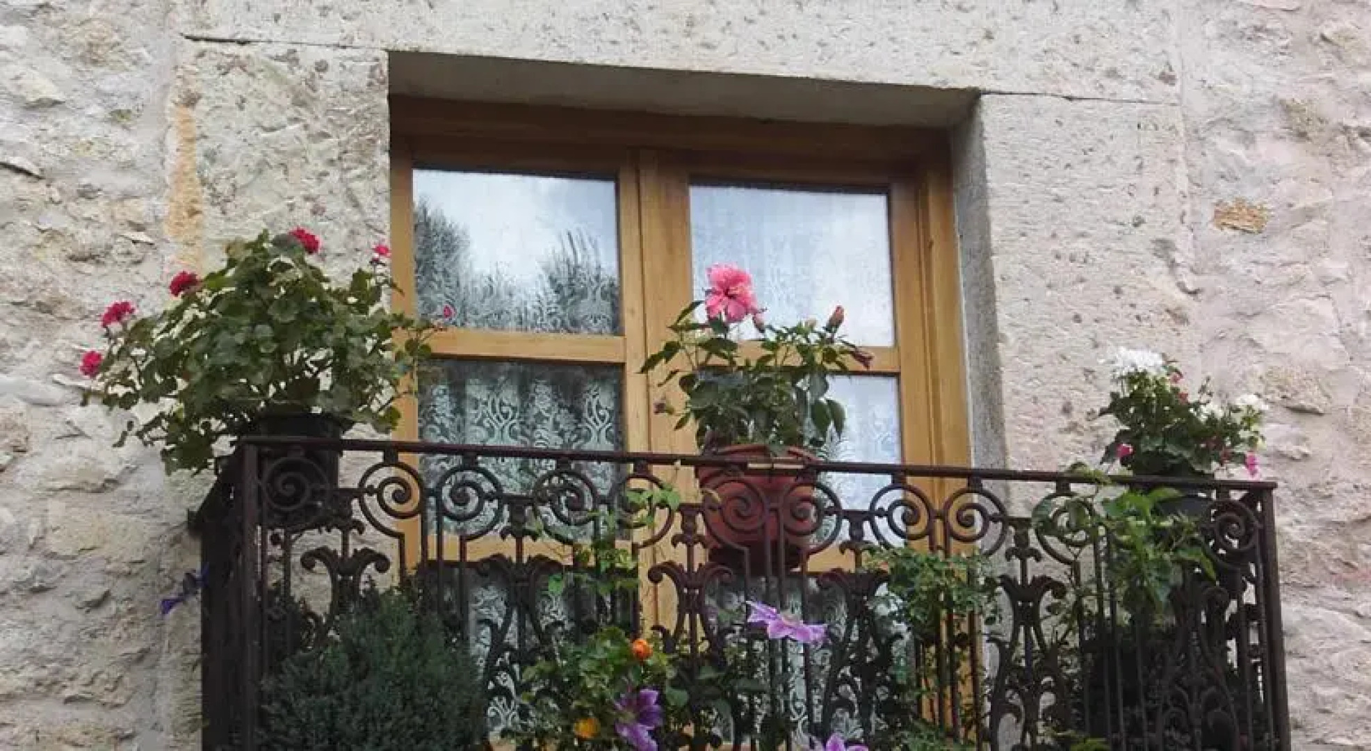 Guest house La Posada de Tamajon