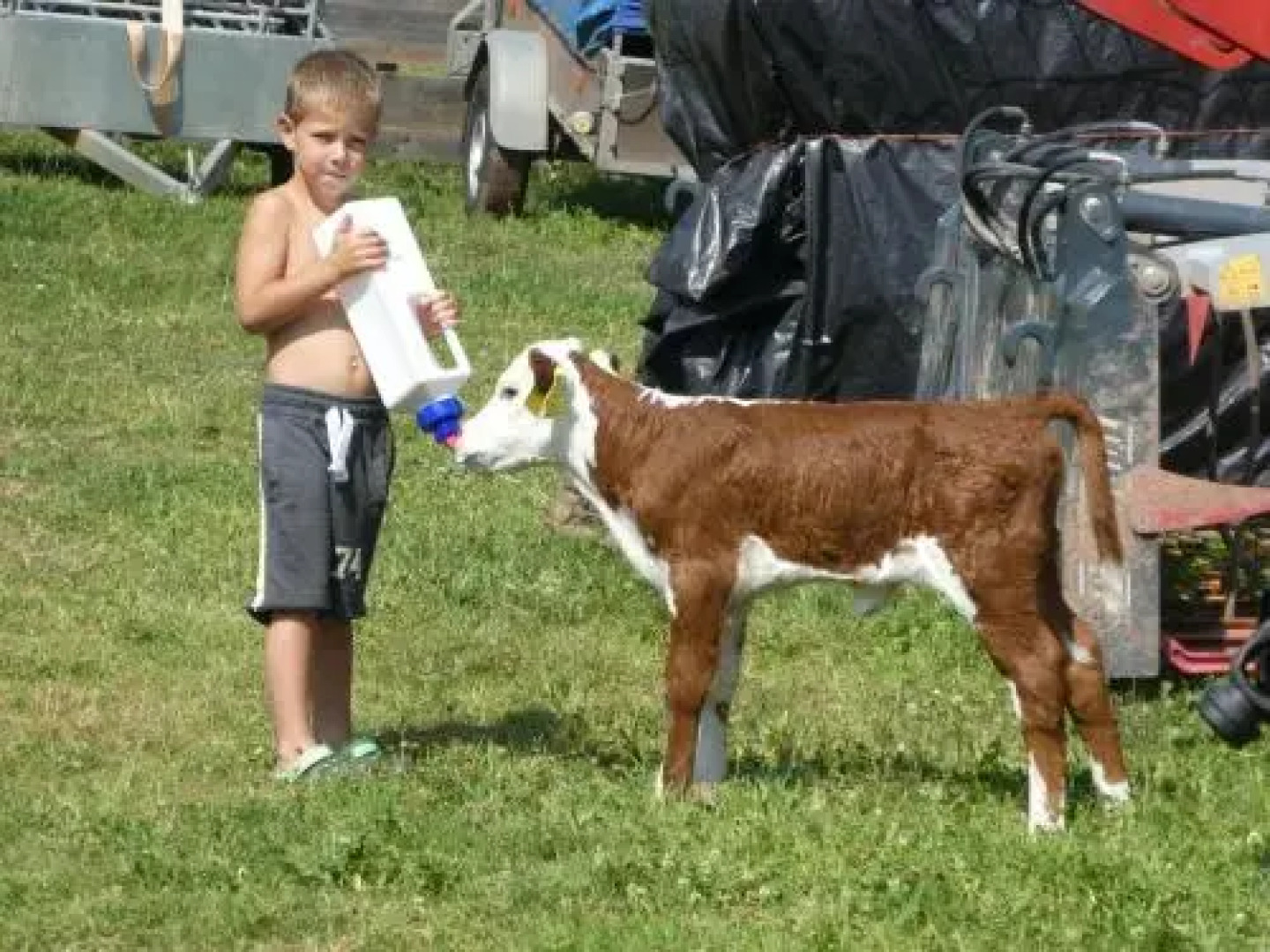 Ubytování Farma U sv. Jakuba